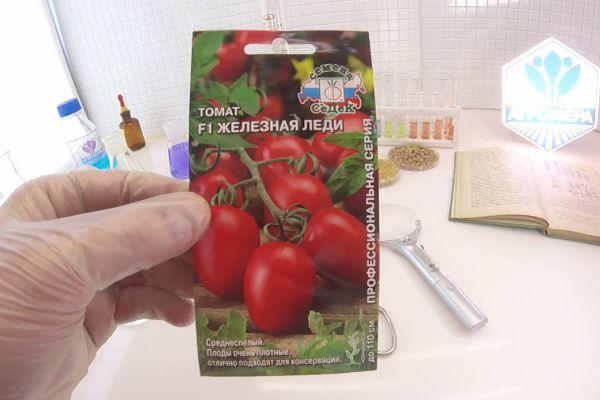 ไอรอนเลดี้ F1