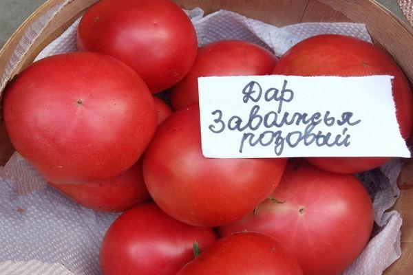 ของขวัญจากภูมิภาคทรานส์โวลก้า