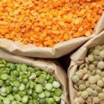 ถุงถั่วเลนทิล