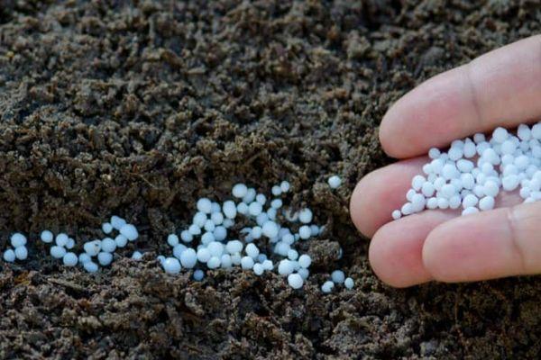 การใส่ปุ๋ยในดิน