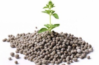 ปุ๋ยไดอามโมฟอสก้า