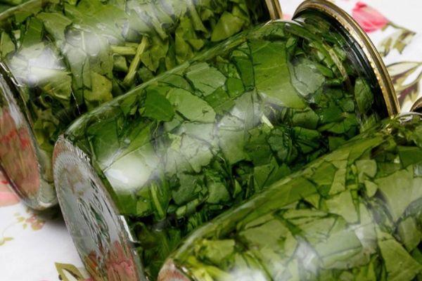 การถนอมโหระพา