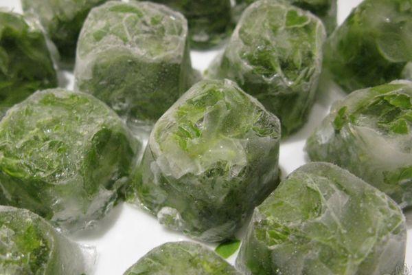 โหระพาแช่แข็ง