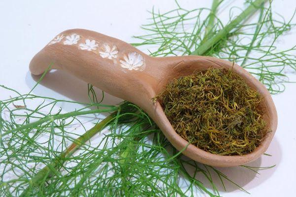 ผักชีลาวแห้ง