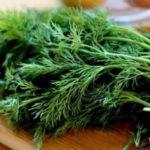 ผักชีลาวสด