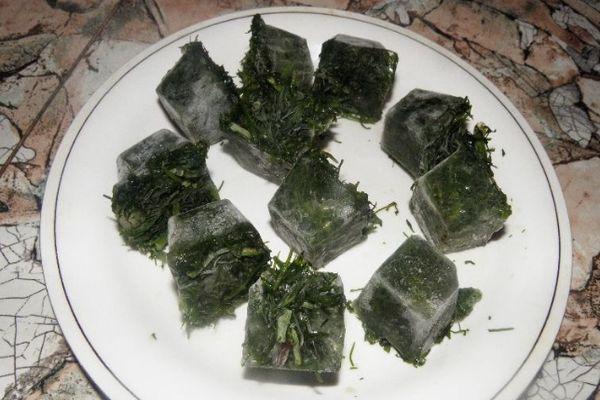 ผักชีลาวกับน้ำแข็ง