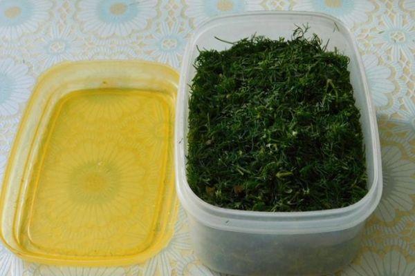 การแช่แข็งผักชีลาว