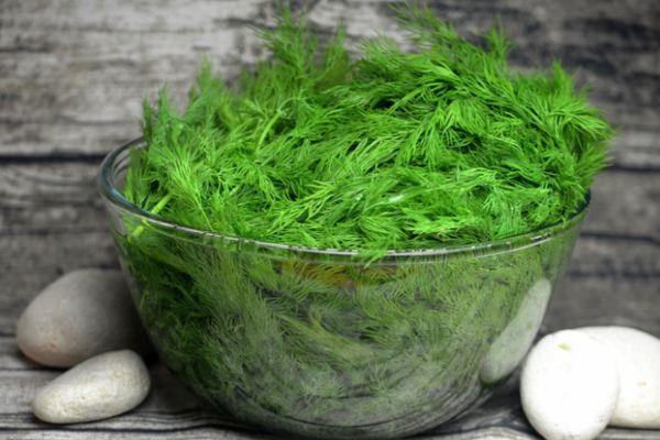 ผักชีลาวในชาม