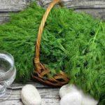 ผักชีลาวสด