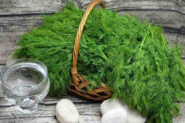 ผักชีลาวสด