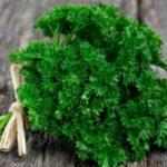 ผักชีฝรั่ง