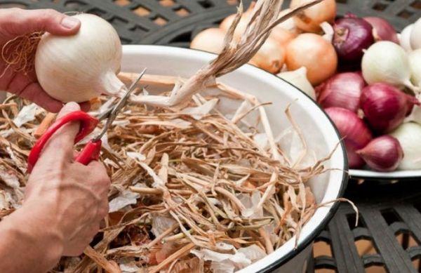 การตัดแต่งหัวหอม