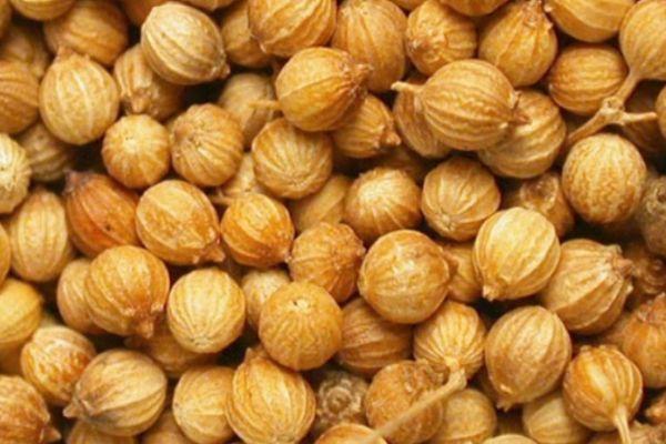 เมล็ดผักชี