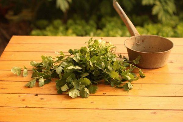 สมุนไพรรสเผ็ด