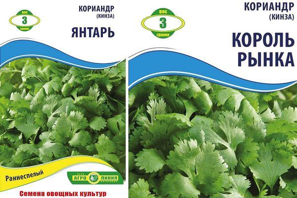 พันธุ์ผักชี