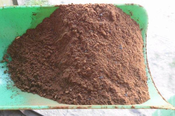 ปุ๋ยอินทรีย์