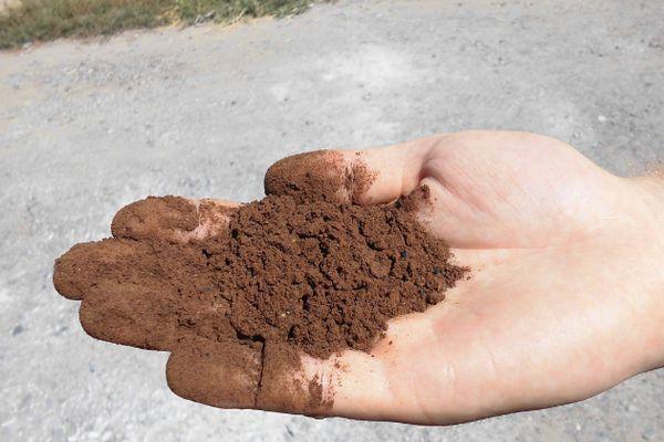 อาหารเลือด