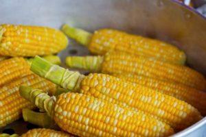 ประโยชน์และโทษของข้าวโพดต่อสุขภาพของมนุษย์