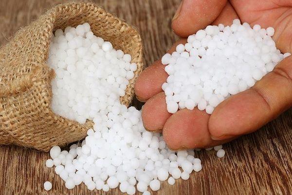 ยูเรียหรือคาร์บาไมด์