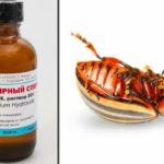 แอมโมเนียและแมลง