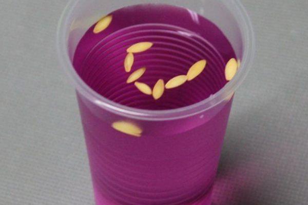 Solution de permanganate de potassium