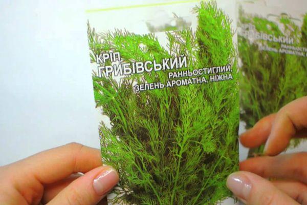 กริโบฟสกี้ ดิลล์