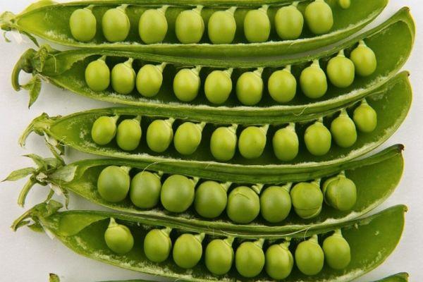 Petits pois végétaux