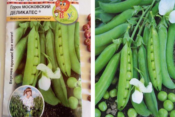 Petits pois de Moscou