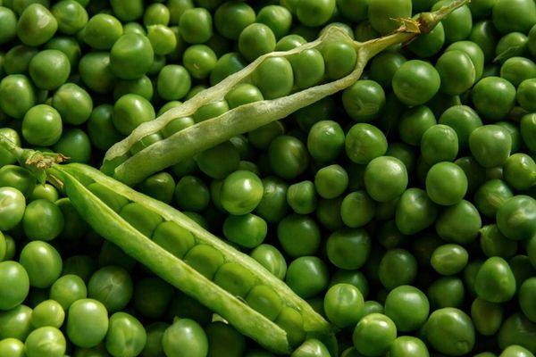 Petits pois