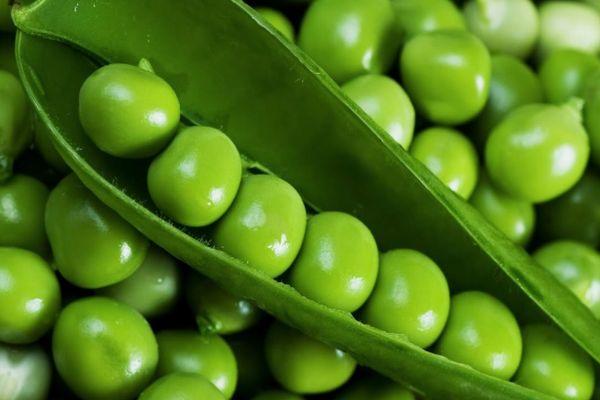 Petits pois Belmondo