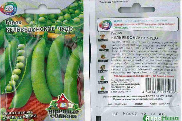 Le miracle de Kelvedon