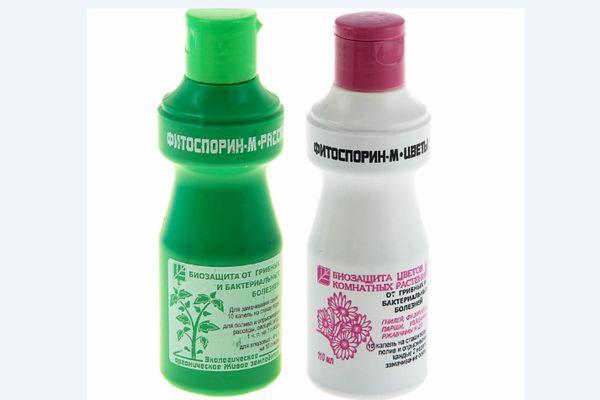 ยาหยอดฟิโตสปอริน