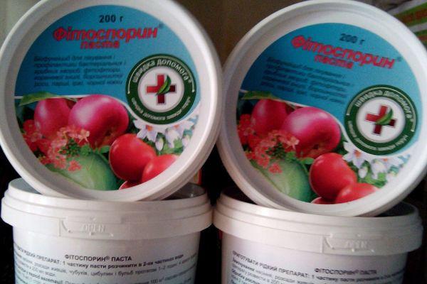 ฟิโตสปอรินเพสต์