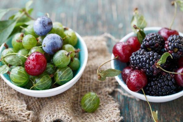 แบล็กเบอร์รี่และลูกเกดฝรั่ง