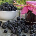 เบอร์รี่สด