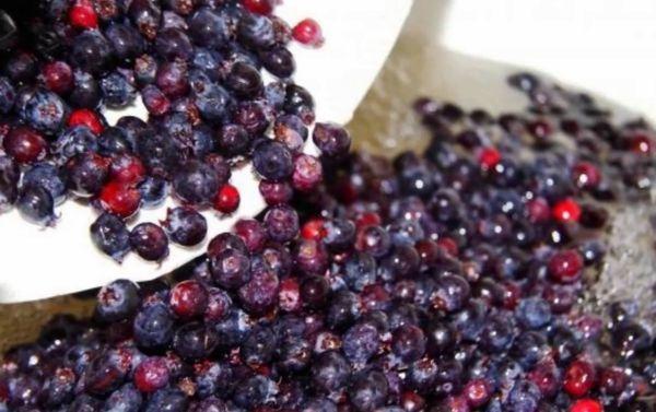 Préparation des baies d'aronia