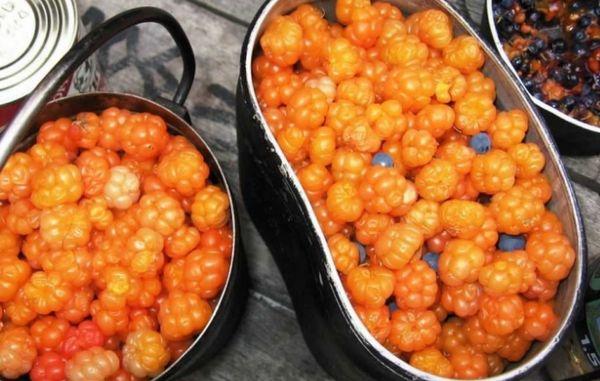 ผลไม้คลาวด์เบอร์รี่