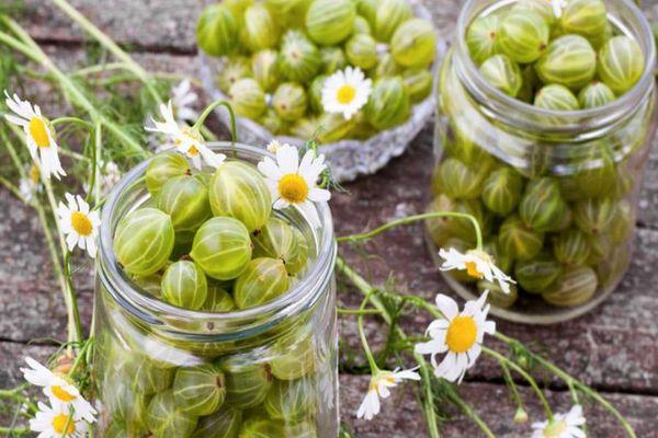 ลูกเกดสด