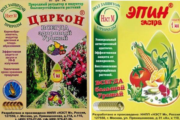 เอปินและเซอร์คอน