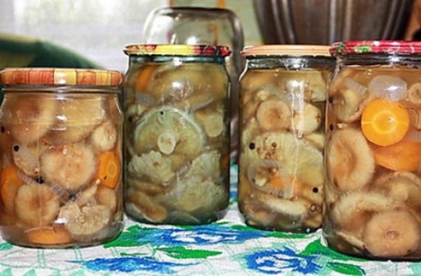 volnushki salés en bocaux