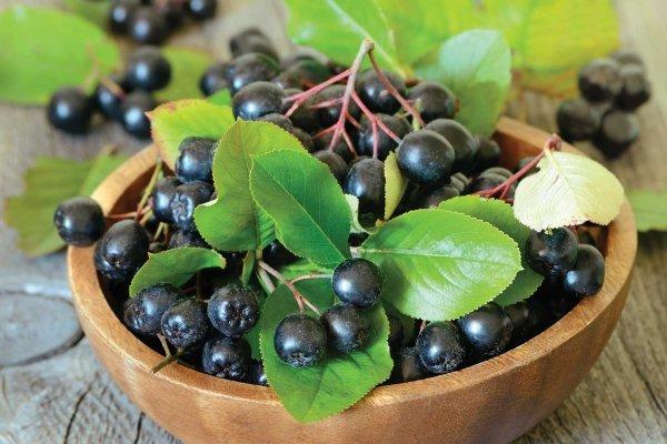 aronia dans un bol