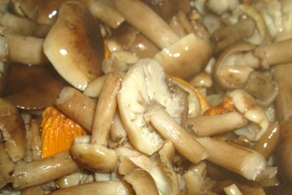 le processus de cuisson des champignons au miel