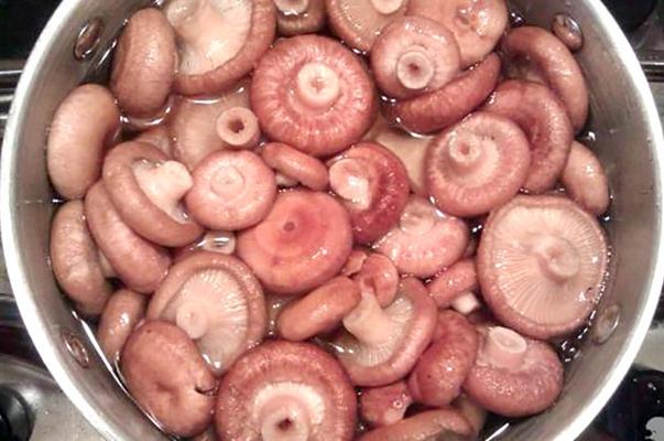 cuisiner des volnushki