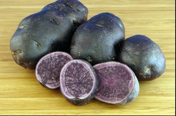 พันธุ์ "เนกริท"