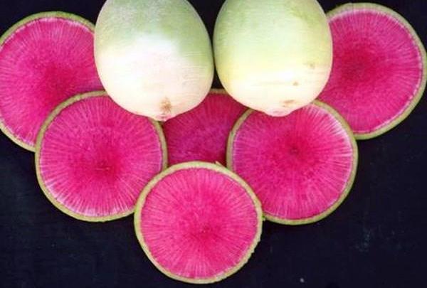 หัวไชเท้าเนื้อแดงข้างใน