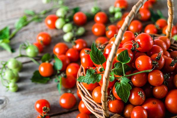 tomates cerises dans un panier