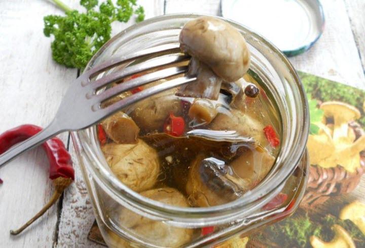 champignons marinés