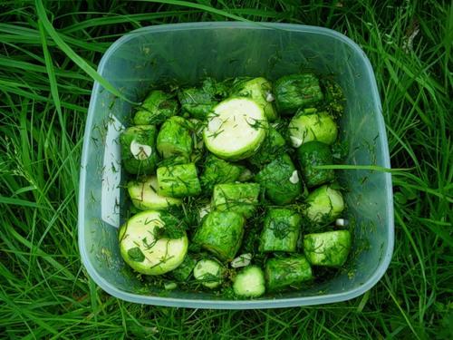 courgettes légèrement salées