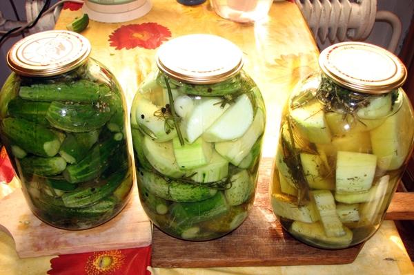 แตงกวาและบวบในขวด