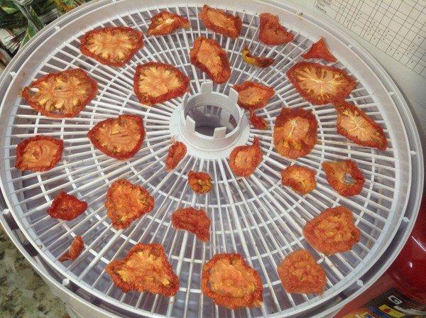 tomates cerises séchées au soleil